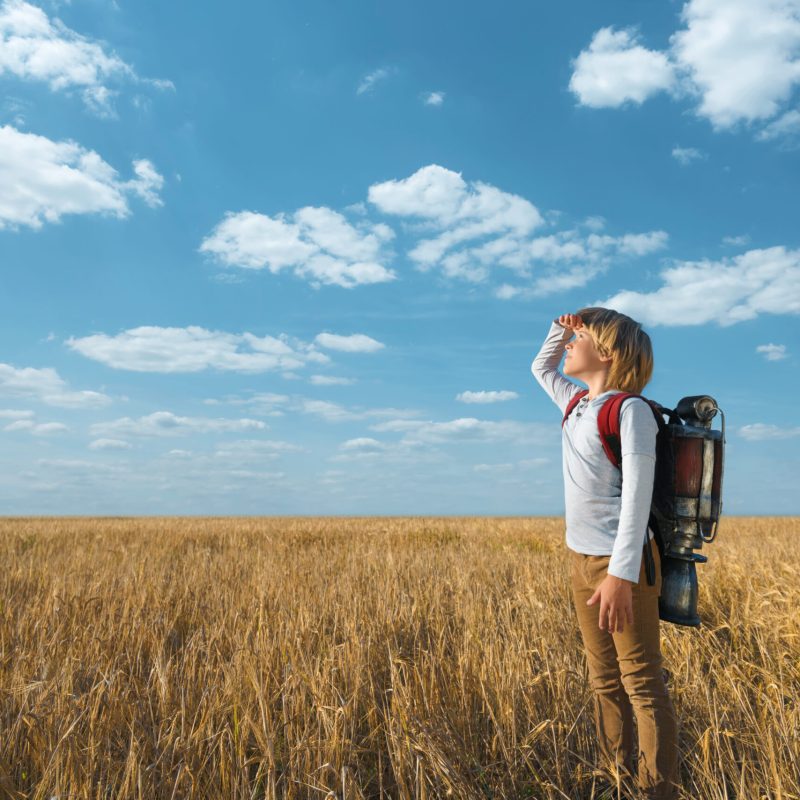 Little boy in a field